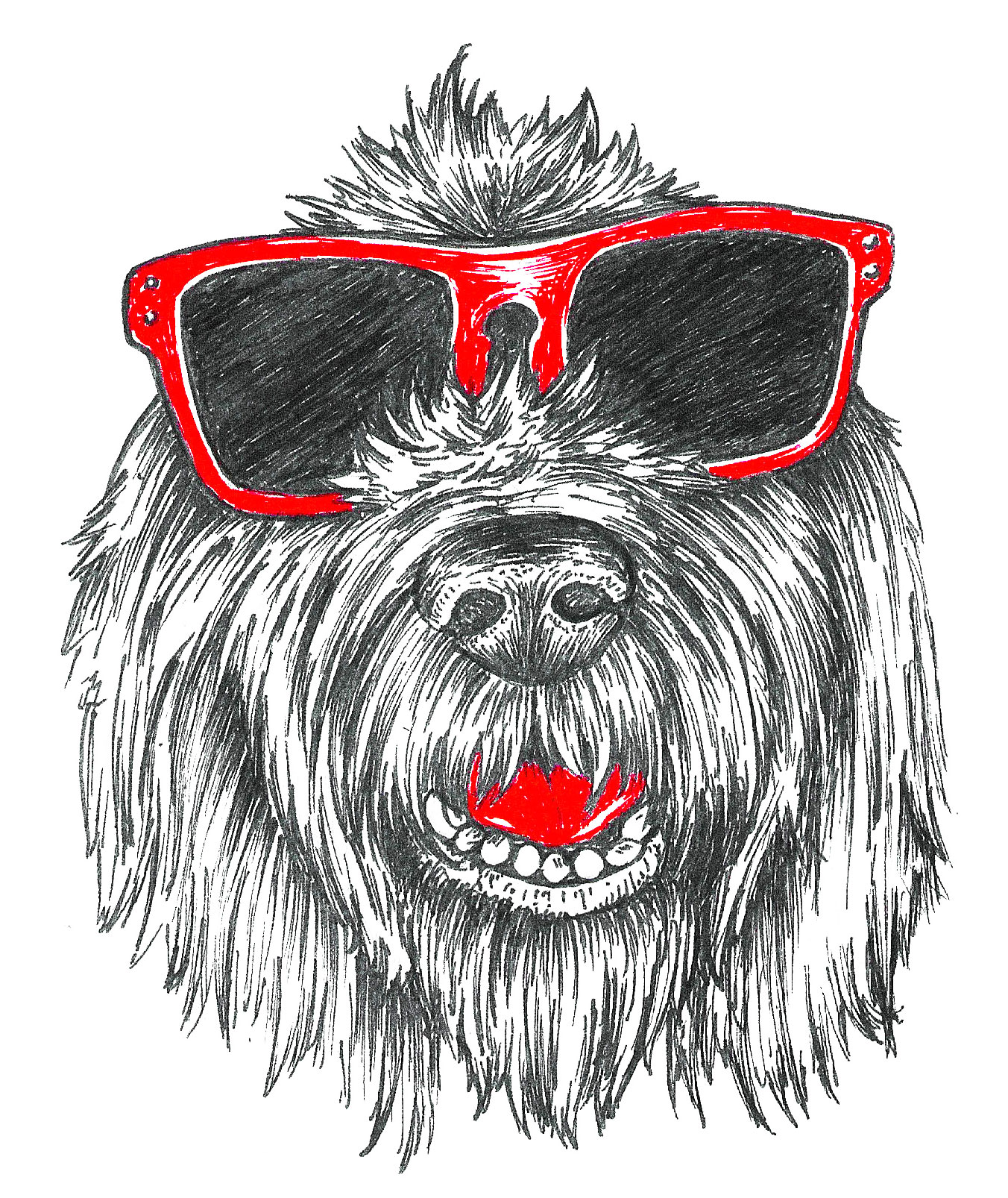 Sketch of a dog named Carl